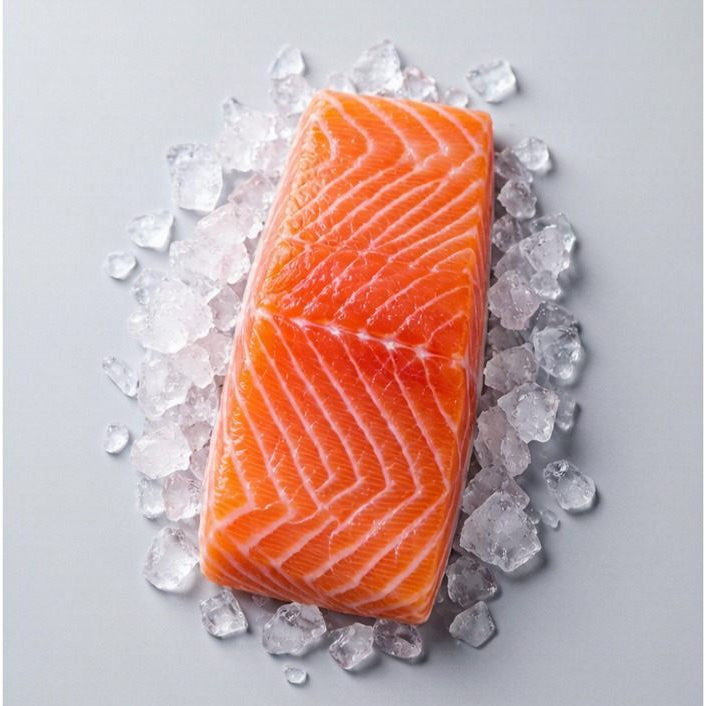 Salmon