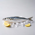 Hairtail Fish 500g